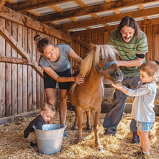 Familie striegelt Pony im Stall auf der Pony Alm © Mathäus Gartner