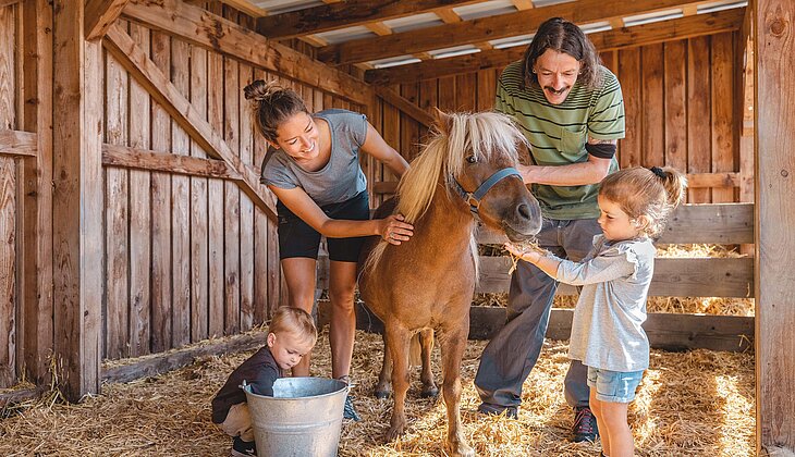 Familie striegelt Pony im Stall auf der Pony Alm © Mathäus Gartner